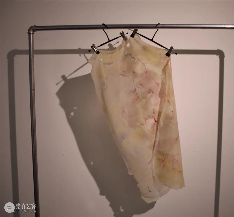 展览回顾 | 回响 ECHO 视频资讯 张嘉宁 ECHO 策展人 Curator 陆佳 Jia 艺术家 Artists 何艺雯 严许雨 张嘉宁 崇真艺客